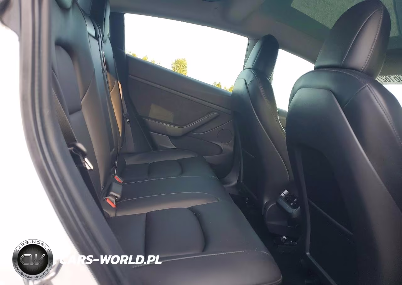 2021 Tesla Model 3 VIN:5YJ3E1EA4MF058299 - 10