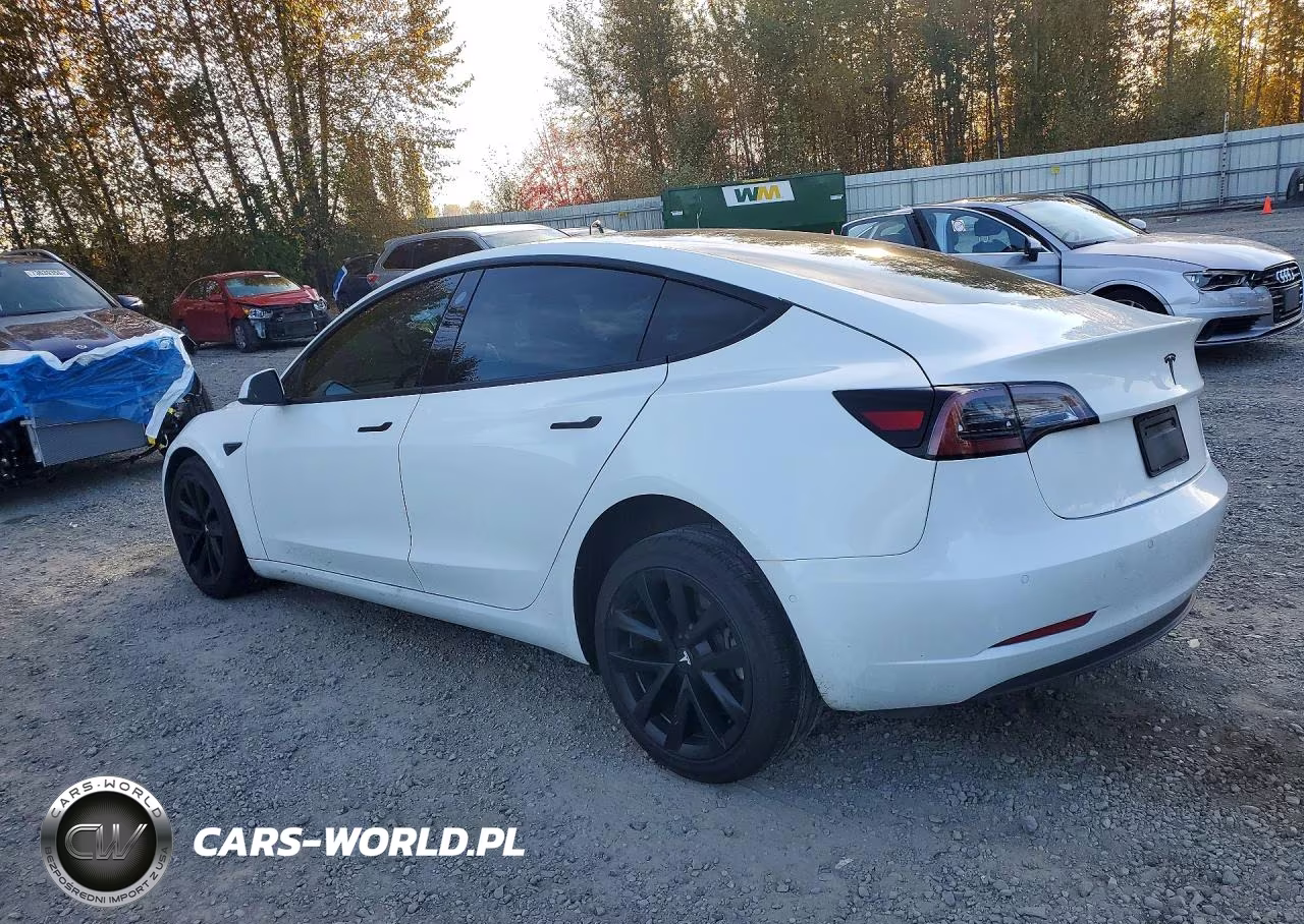 2021 Tesla Model 3 VIN:5YJ3E1EA4MF058299 - 2