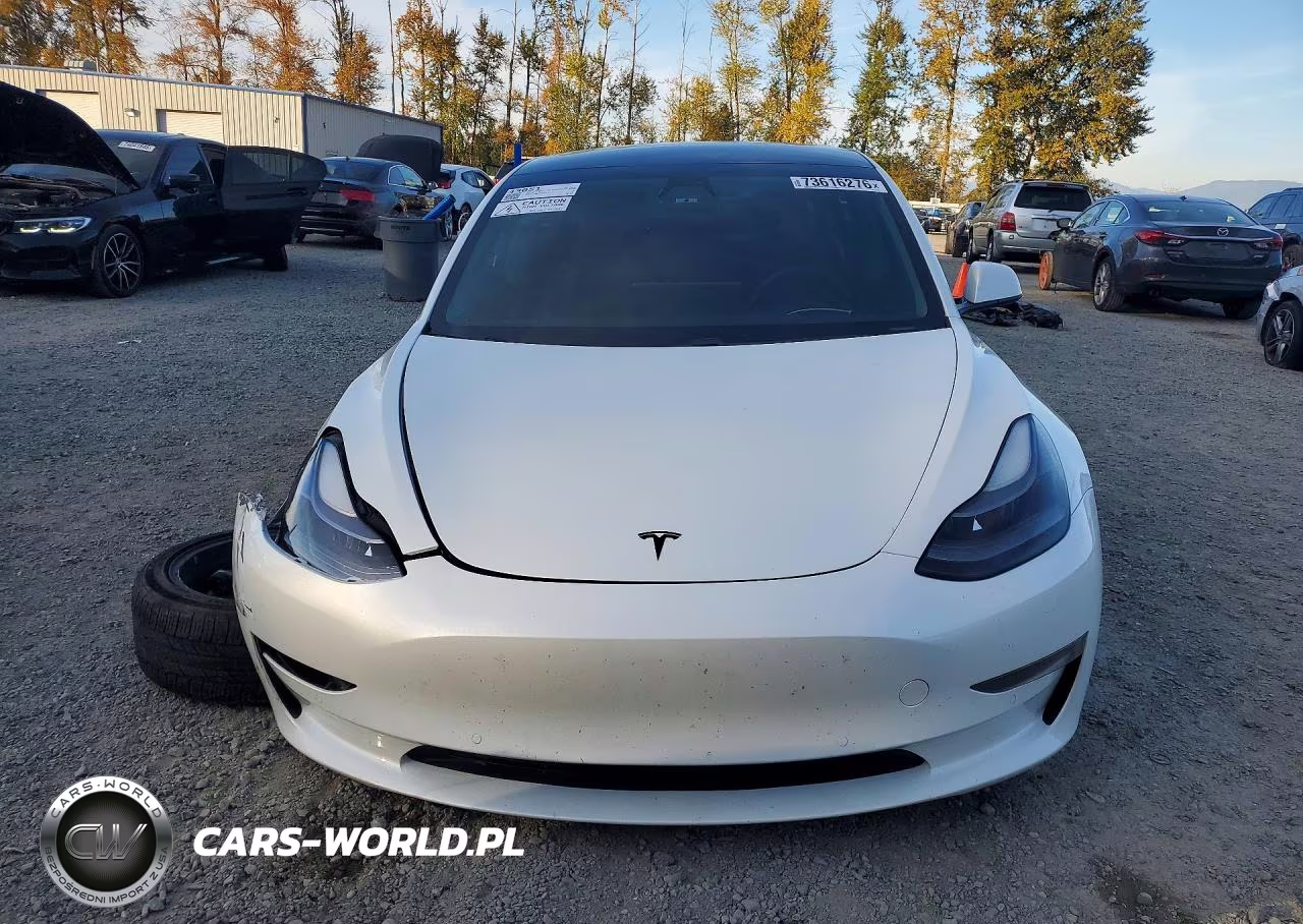 2021 Tesla Model 3 VIN:5YJ3E1EA4MF058299 - 5