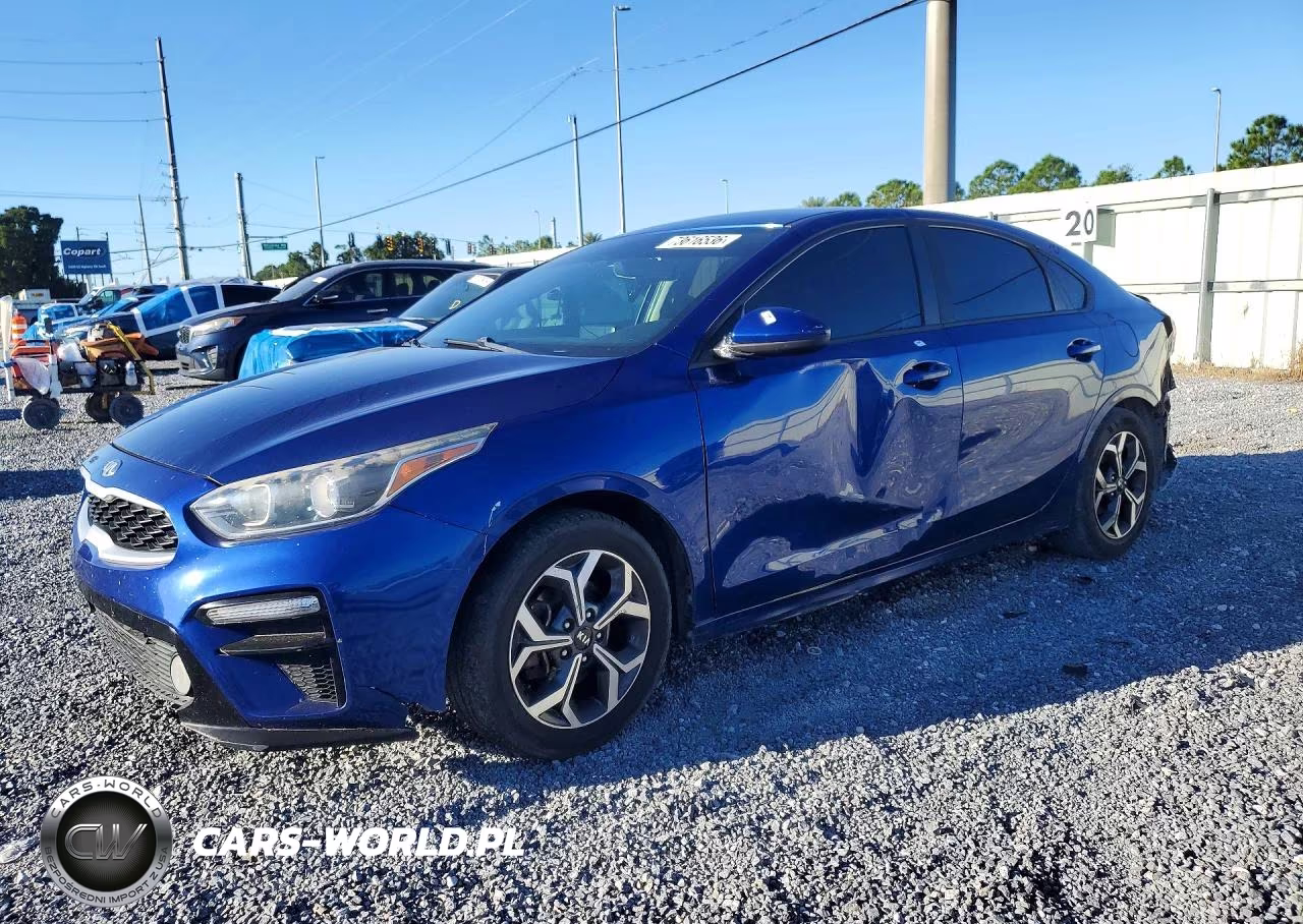 2019 Kia Forte Lxs