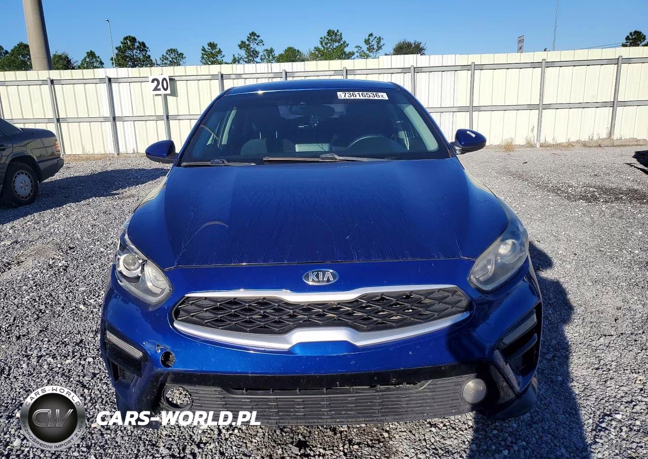 2019 Kia Forte Lxs VIN:3KPF24AD9KE122864 - 5