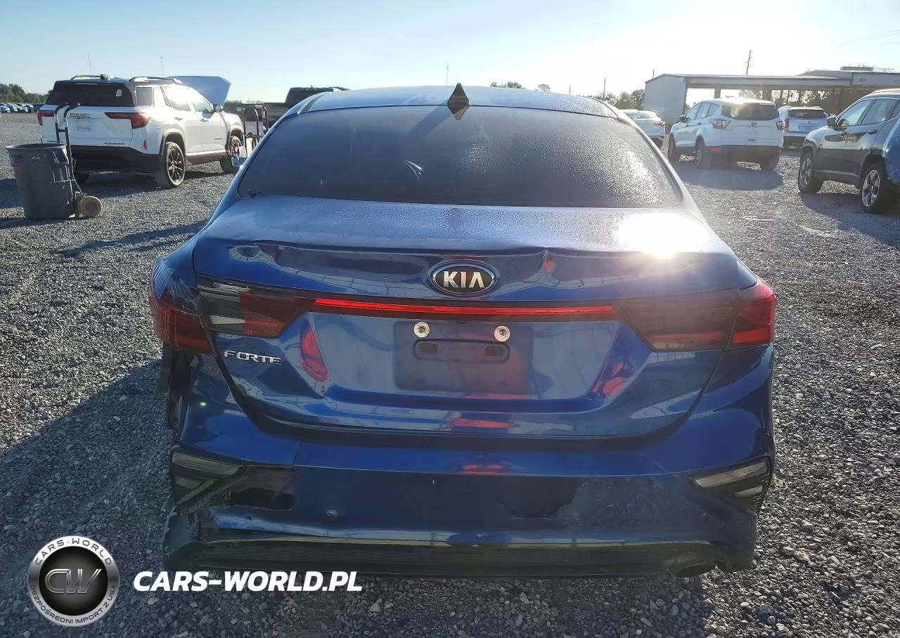2019 Kia Forte Lxs VIN:3KPF24AD9KE122864 - 6