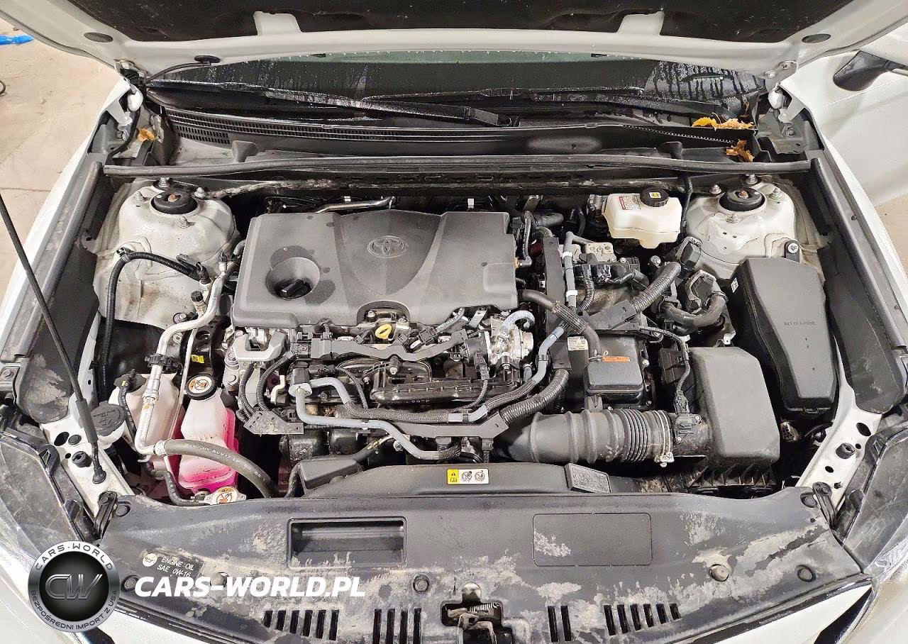 2024 Toyota Camry Le VIN:4T1C31AKXRU075509 - 11