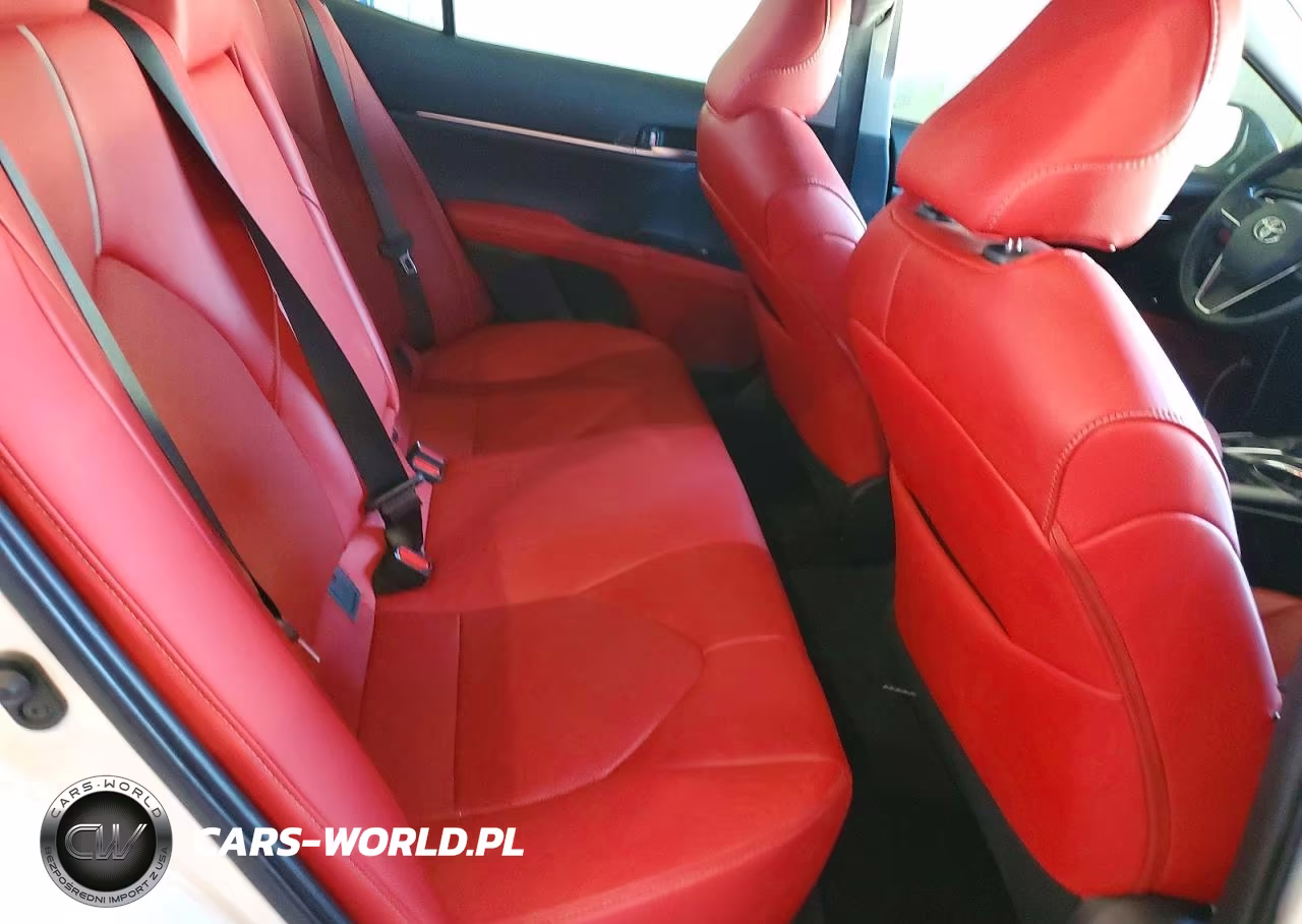 2019 Toyota Camry Xse VIN:4T1B61HK0KU224587 - 10