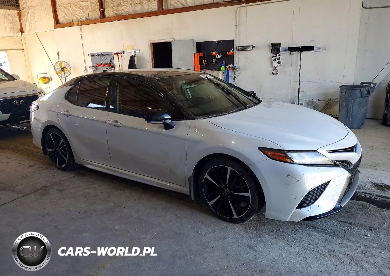 2019 Toyota Camry Xse VIN:4T1B61HK0KU224587 - 4