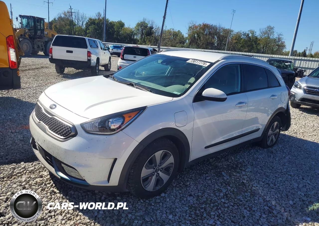 2019 Kia Niro Lx VIN:KNDCM3LD9K5351173 - 1