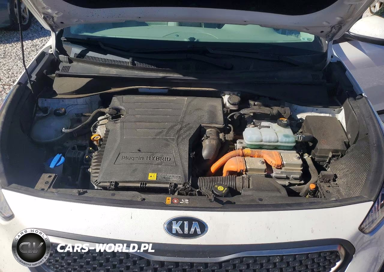 2019 Kia Niro Lx VIN:KNDCM3LD9K5351173 - 12