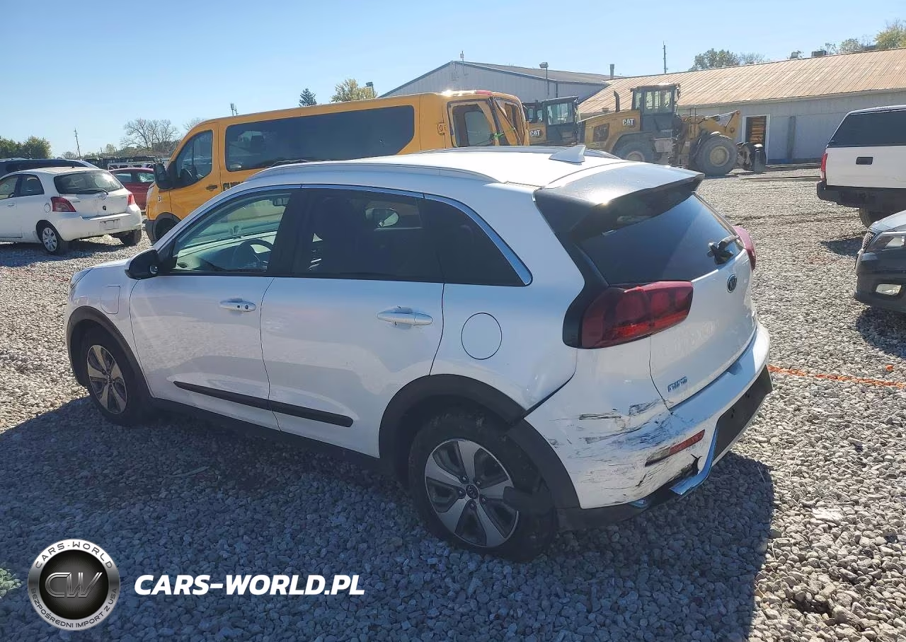 2019 Kia Niro Lx VIN:KNDCM3LD9K5351173 - 2