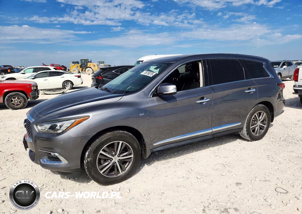 2019 Infiniti Qx60 Pure VIN:5N1DL0MNXKC550642 - 1