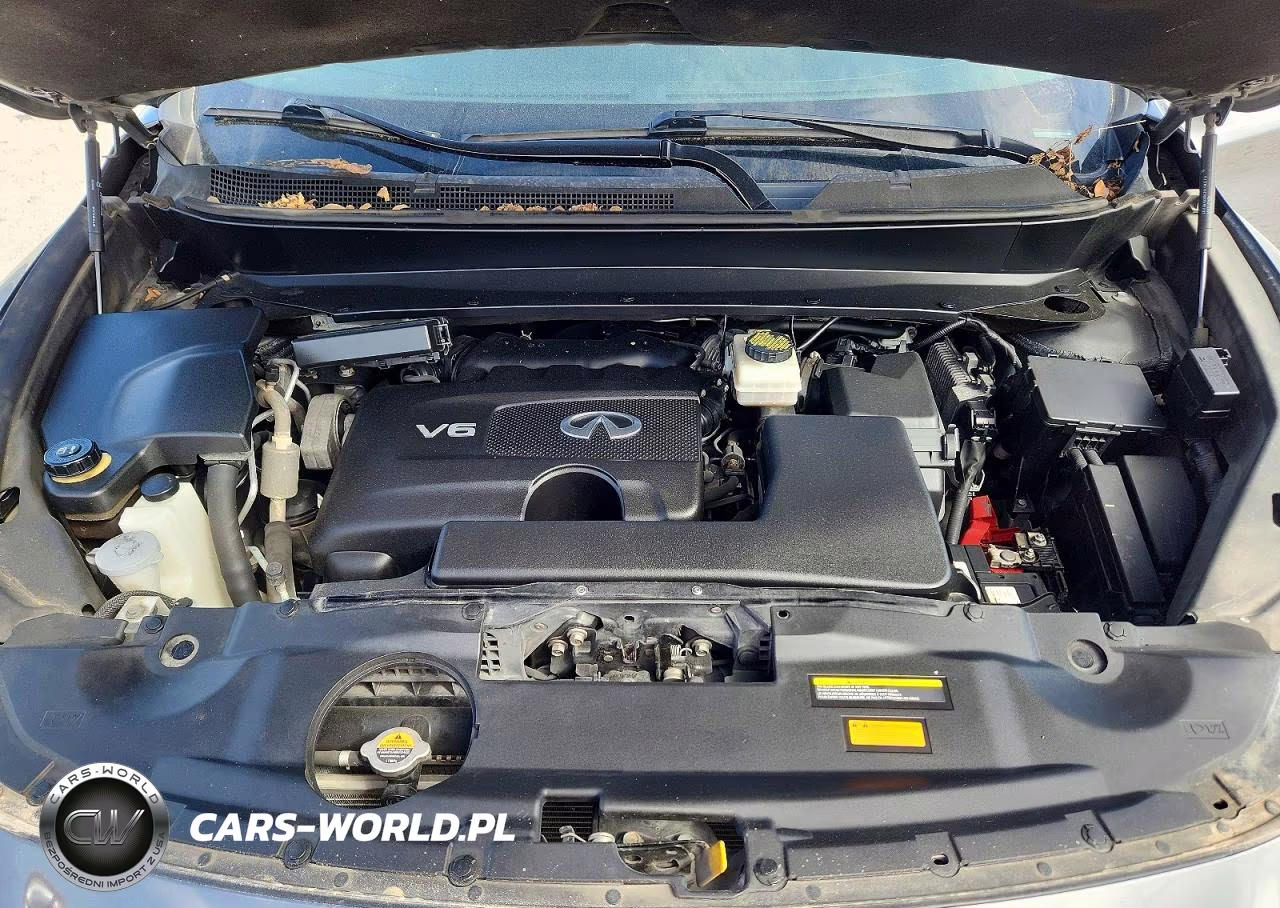 2019 Infiniti Qx60 Pure VIN:5N1DL0MNXKC550642 - 11