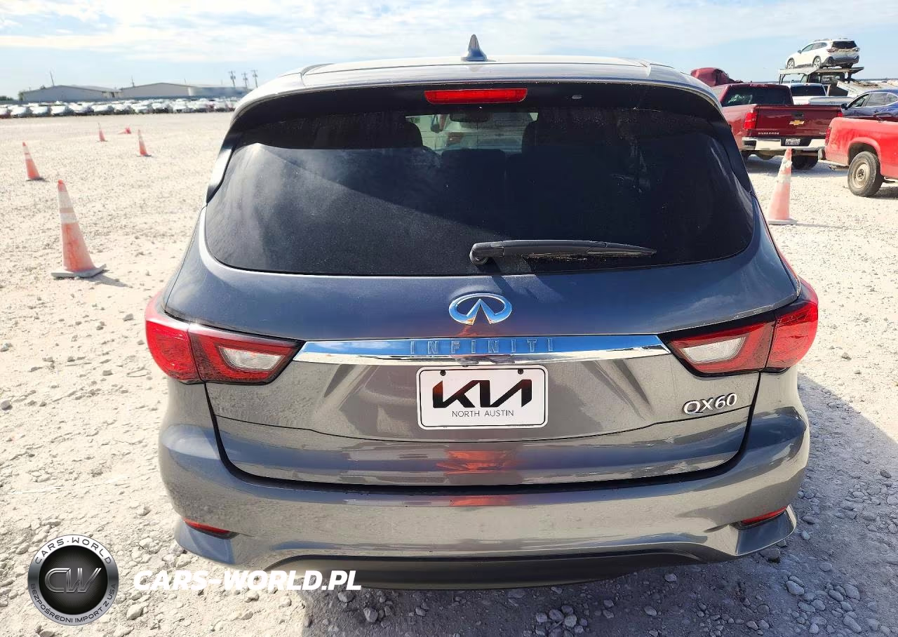 2019 Infiniti Qx60 Pure VIN:5N1DL0MNXKC550642 - 6