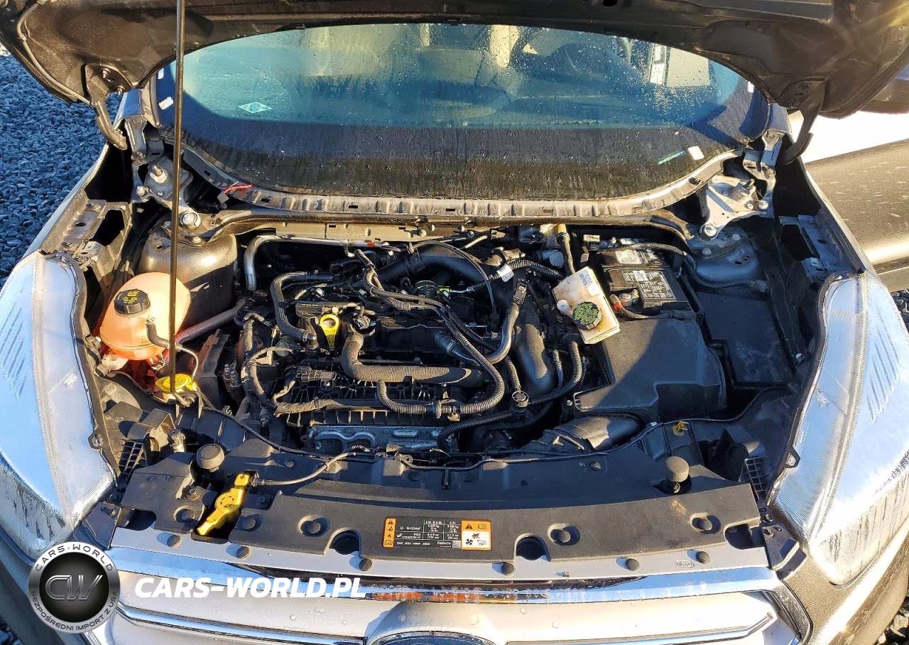 2019 Ford Escape Se VIN:1FMCU0GD1KUA40105 - 12