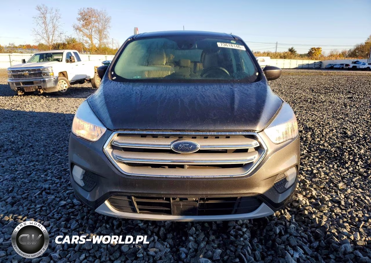2019 Ford Escape Se VIN:1FMCU0GD1KUA40105 - 5