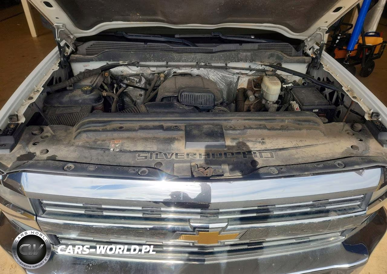 2016 Chevrolet Silverado C2500 Heavy Duty VIN:1GC0CUEG0GZ118432 - 11