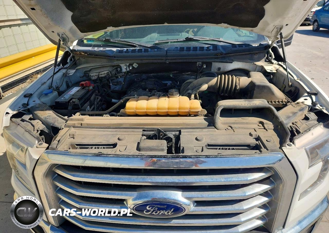2016 Ford F150 Supercrew VIN:1FTEW1C85GFA11692 - 11