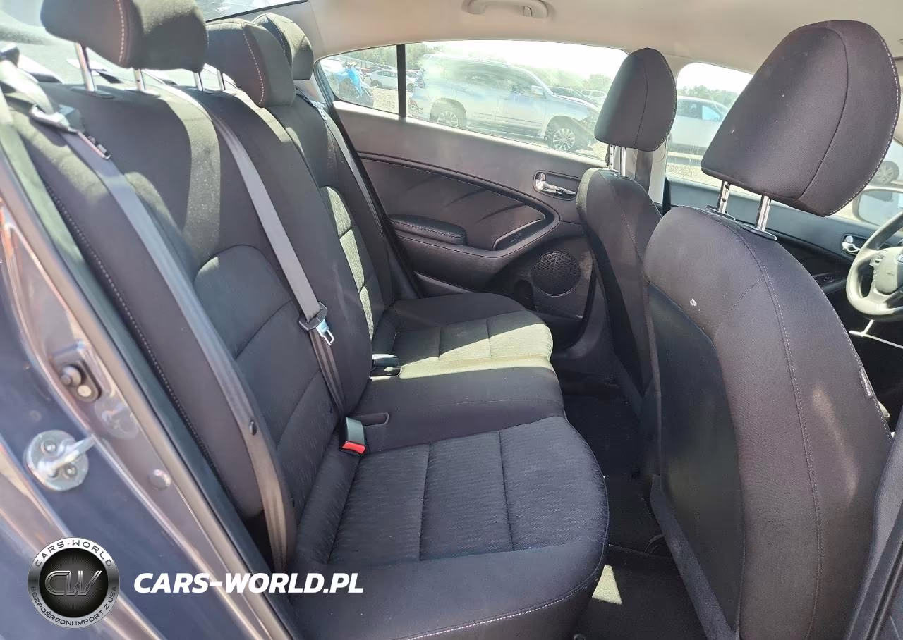 2016 Kia Forte Lx VIN:KNAFK4A6XG5597084 - 10