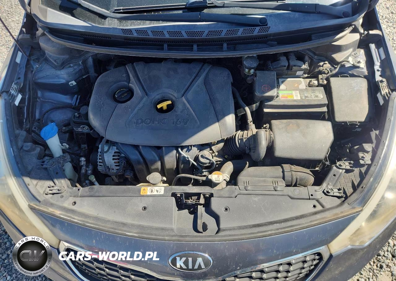2016 Kia Forte Lx VIN:KNAFK4A6XG5597084 - 11
