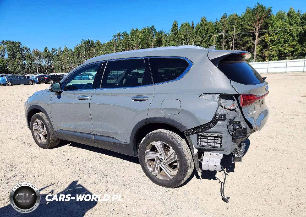 2023 Hyundai Santa Fe Sel VIN:5NMS2DAJ4PH493967 - 2