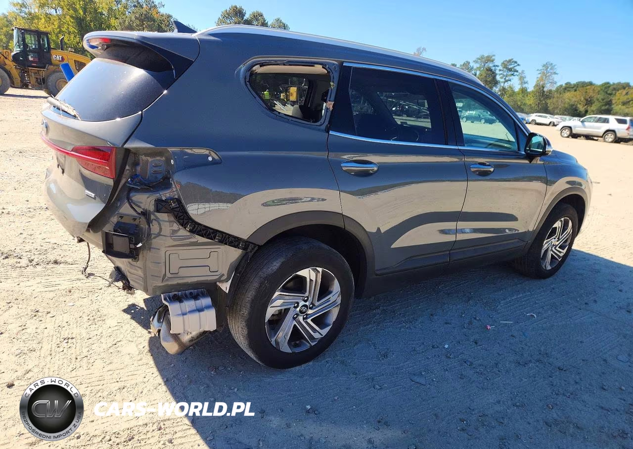 2023 Hyundai Santa Fe Sel VIN:5NMS2DAJ4PH493967 - 3