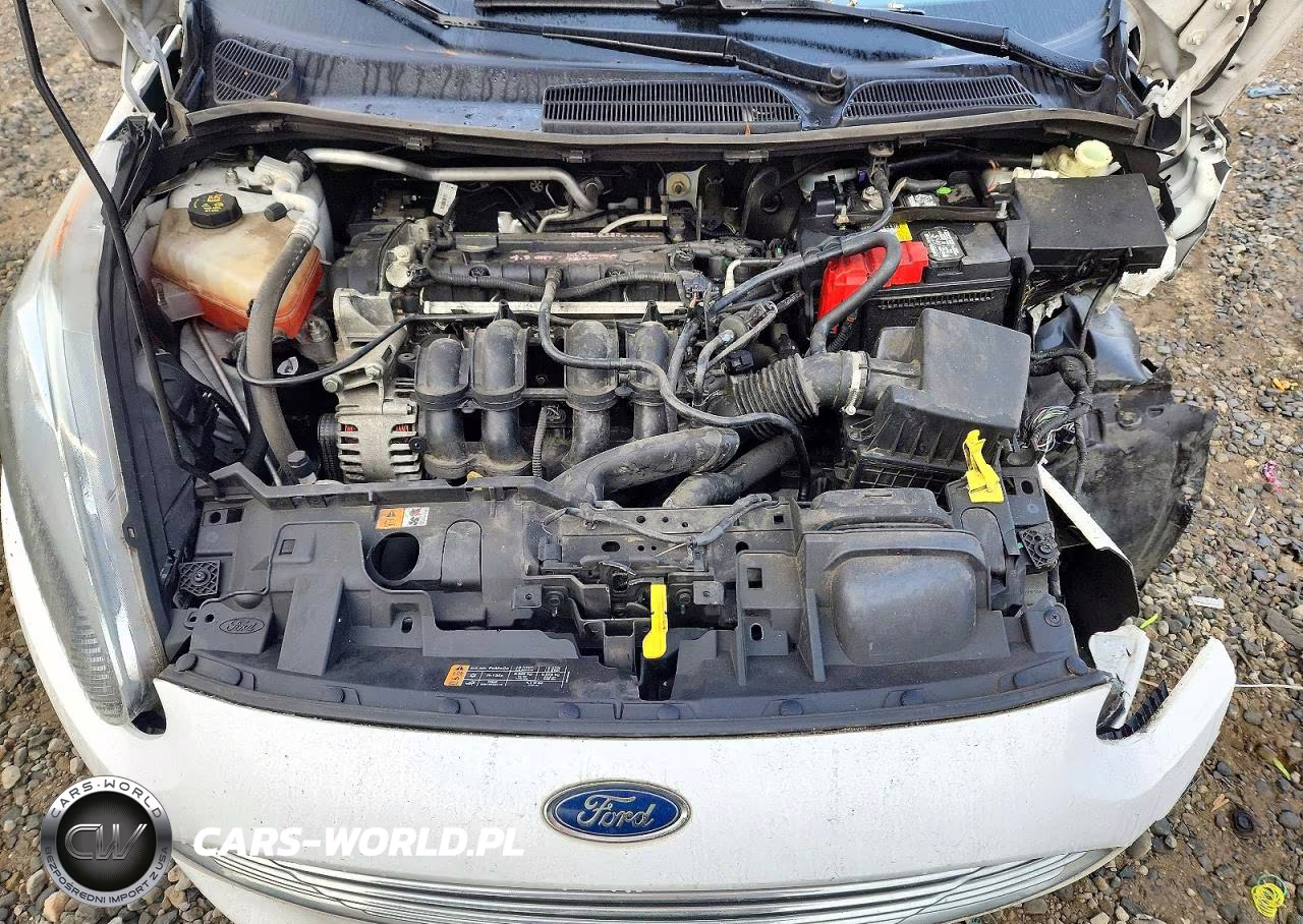 2014 Ford Fiesta Se VIN:3FADP4BJXEM183430 - 11