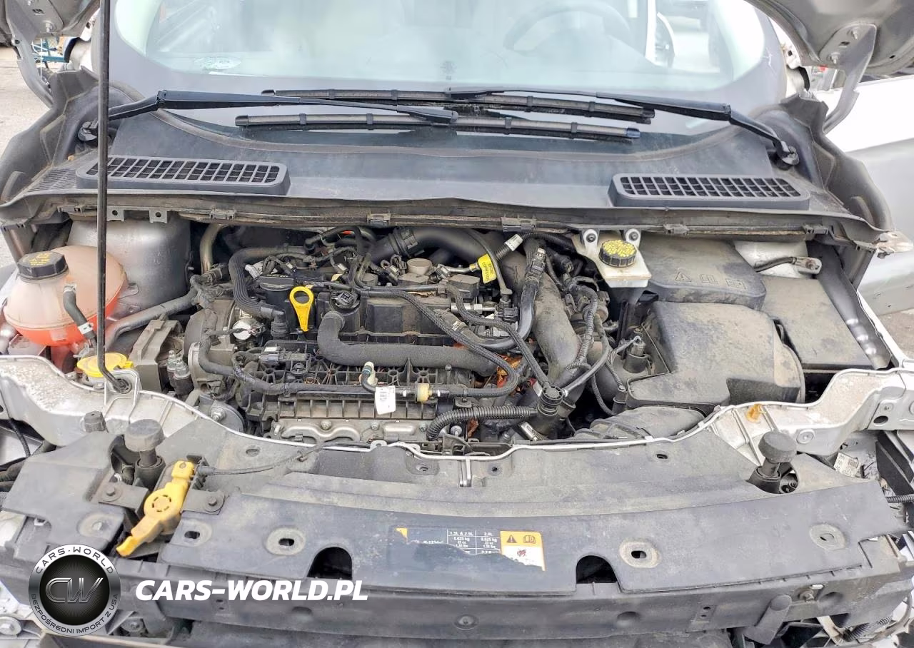 2019 Ford Escape Se VIN:1FMCU9GD9KUB64580 - 12
