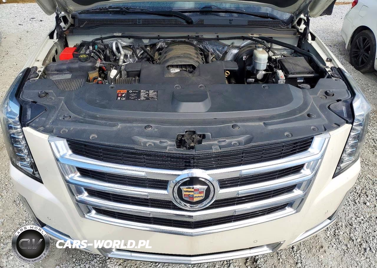 2015 Cadillac Escalade Luxury VIN:1GYS4BKJ9FR161380 - 12