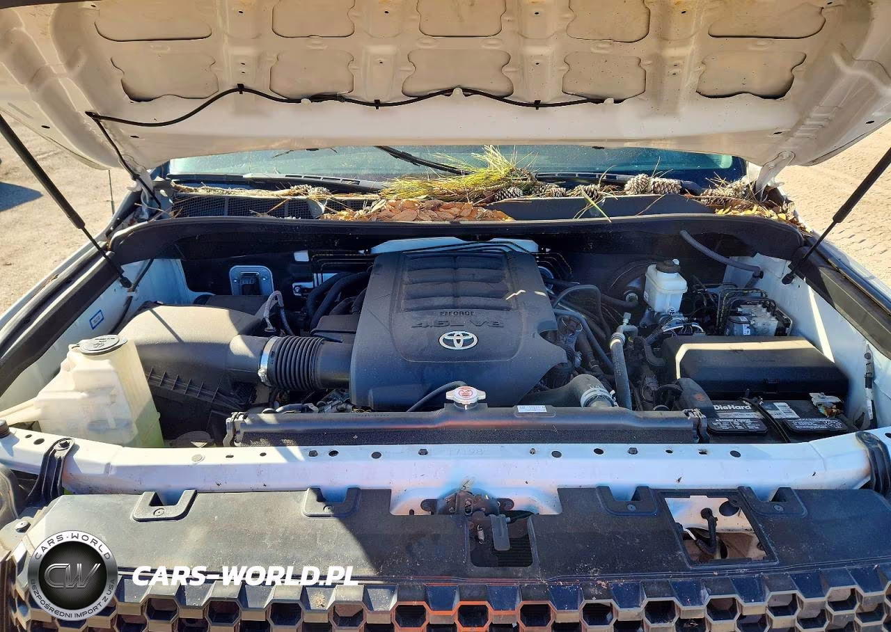 2019 Toyota Tundra Sr VIN:5TFRM5F17KX135446 - 11