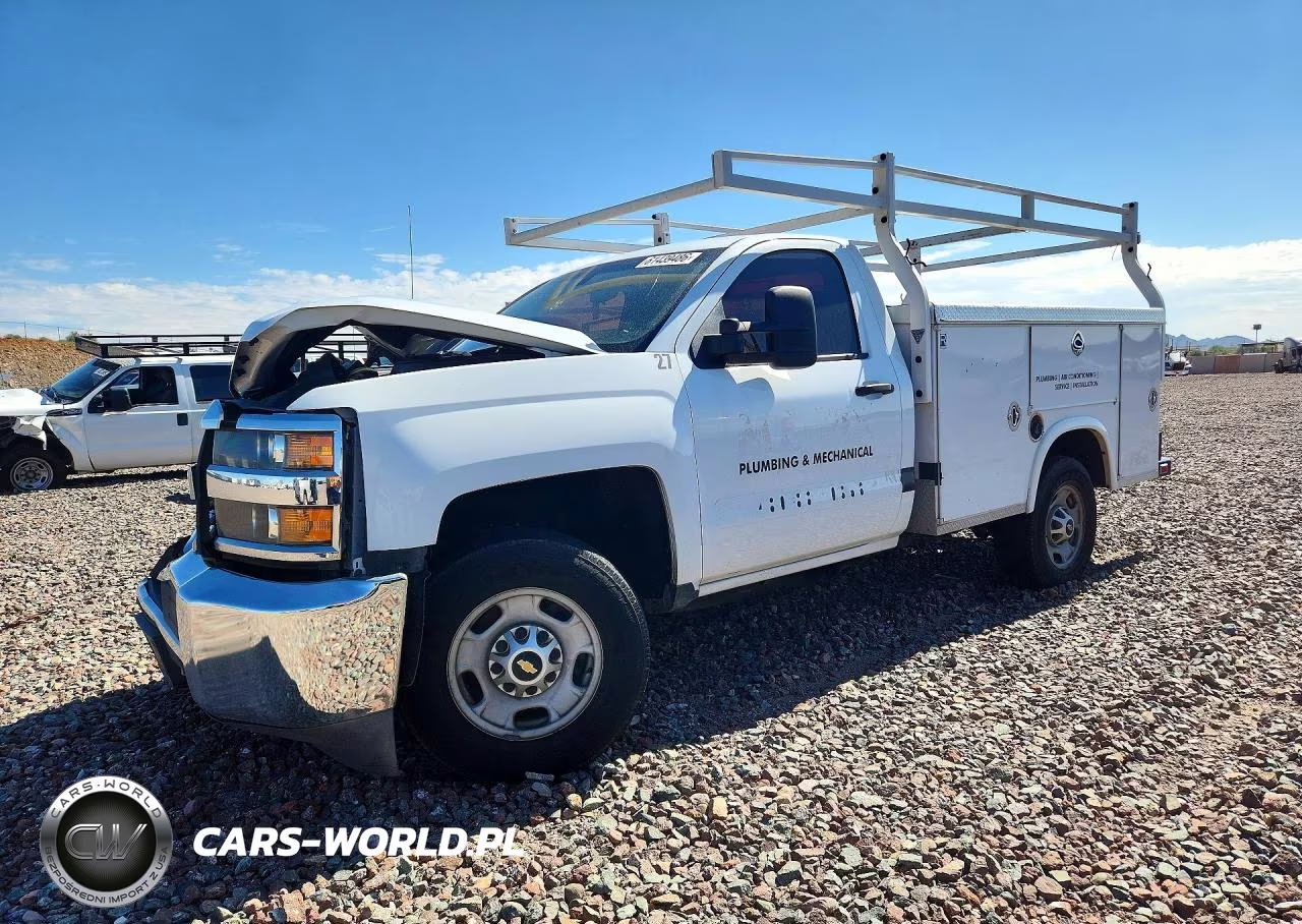 2017 Chevrolet Silverado VIN:1GB0CUEG7HZ243319 - 1