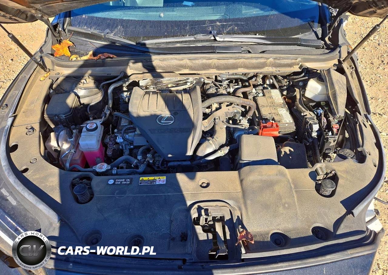 2024 Lexus Rx 350 Premium+ VIN:2T2BAMCA4RC070634 - 12