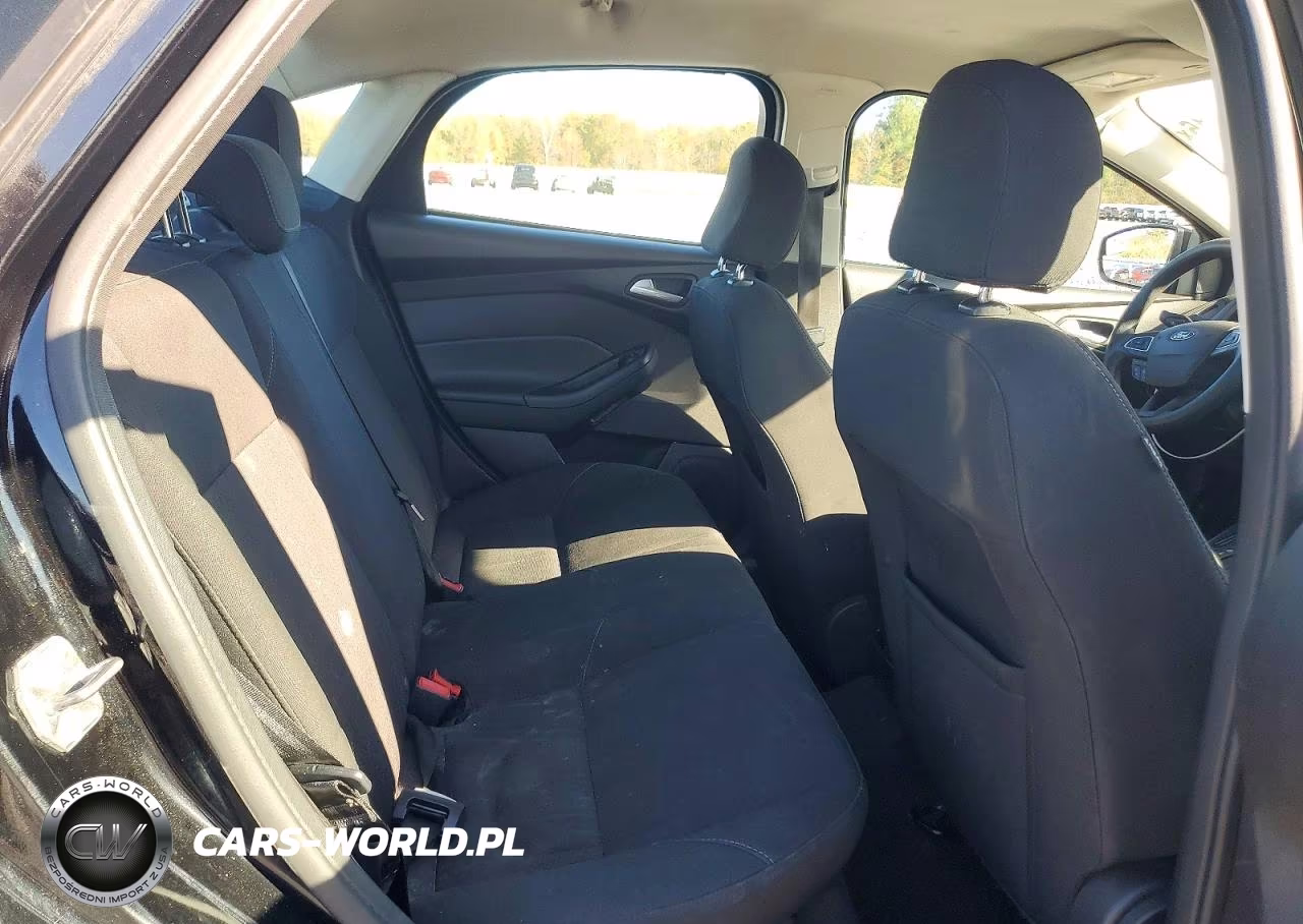 2016 Ford Focus Se VIN:1FADP3F29GL368604 - 10