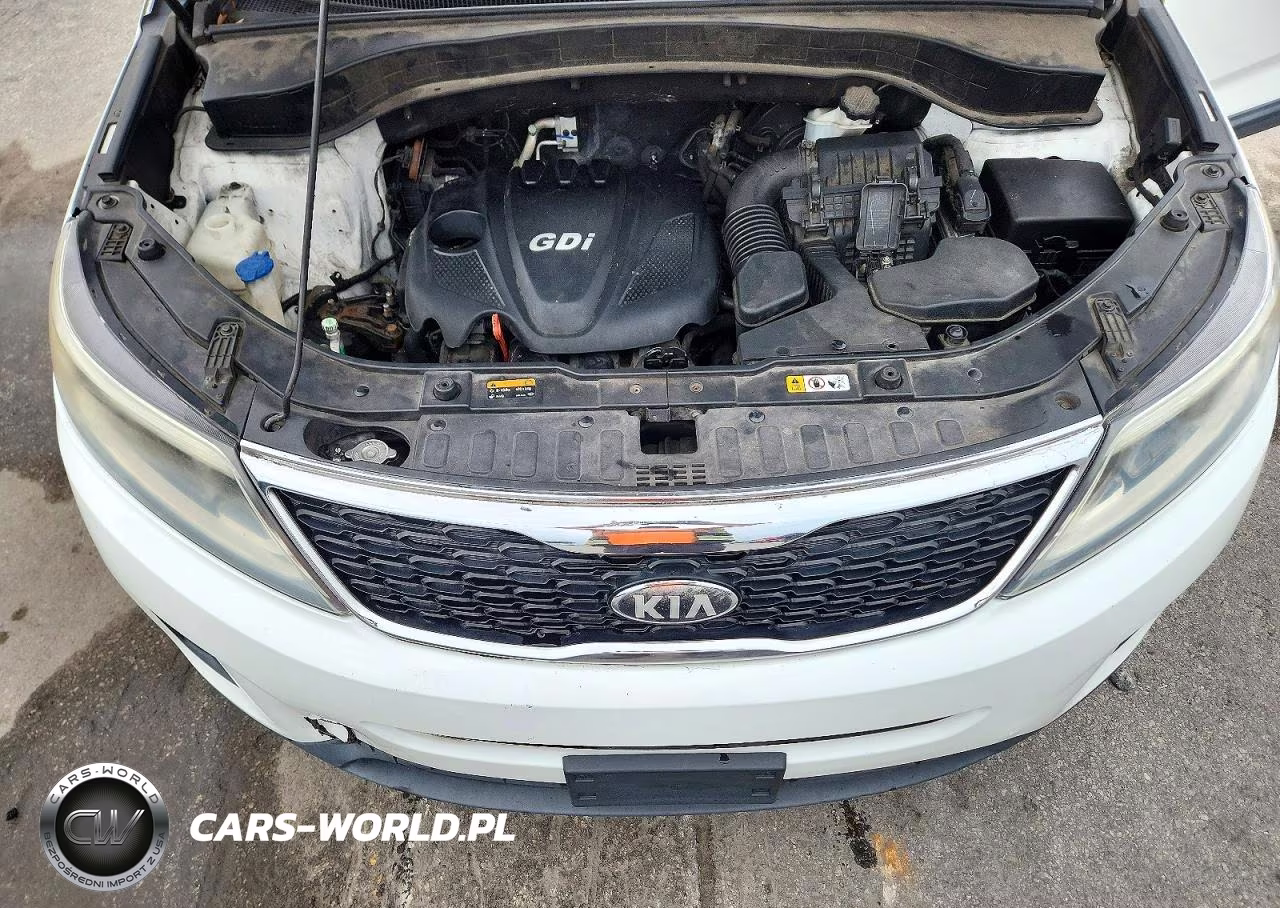 2014 Kia Sorento Lx VIN:5XYKT3A67EG425706 - 12