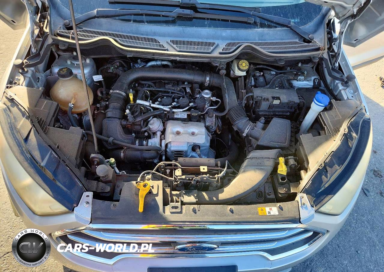 2019 Ford Ecosport Titanium VIN:MAJ3S2KEXKC268136 - 12