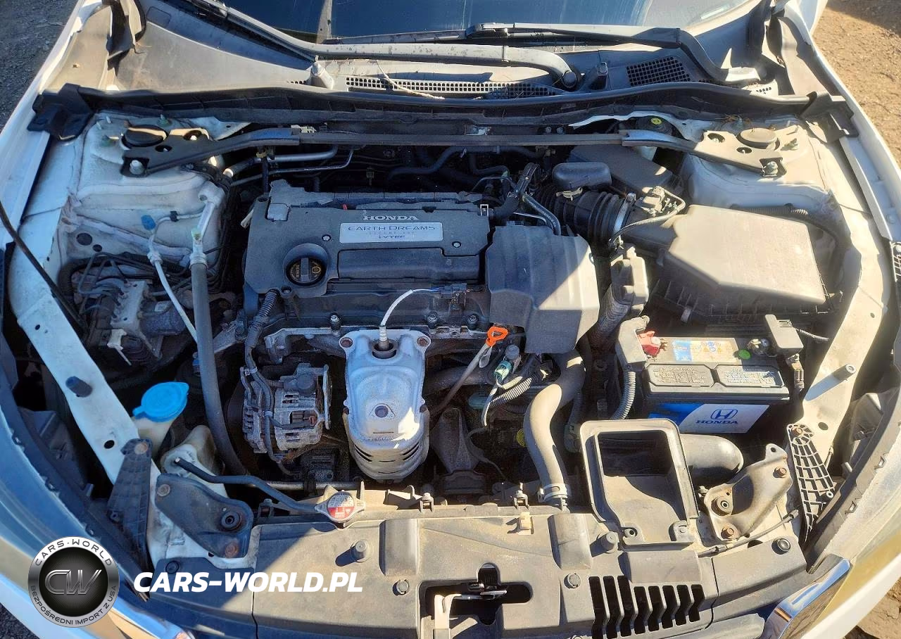 2013 Honda Accord Exl VIN:1HGCR2F80DA234961 - 11