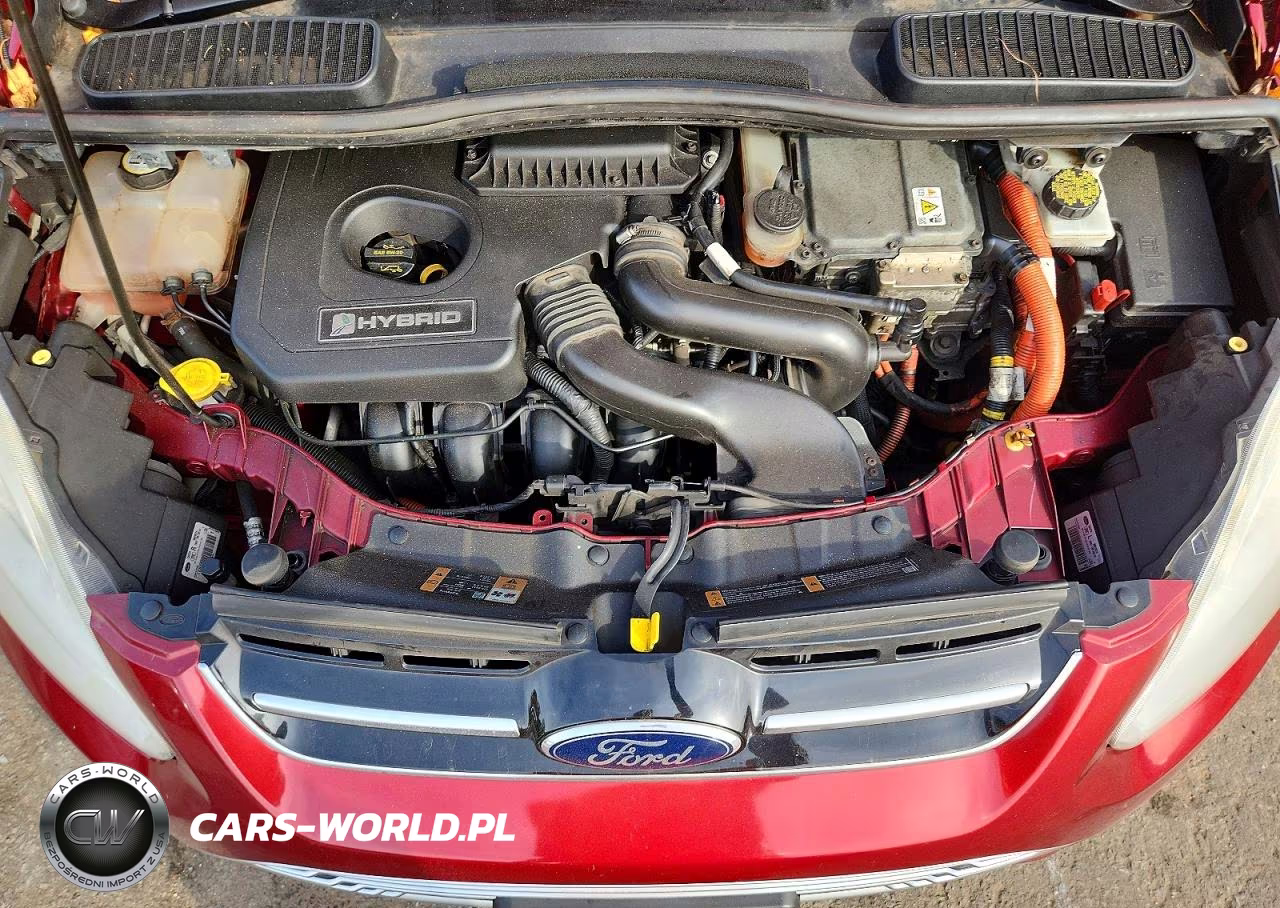 2013 Ford C-Max Sel VIN:1FADP5BU6DL512527 - 12