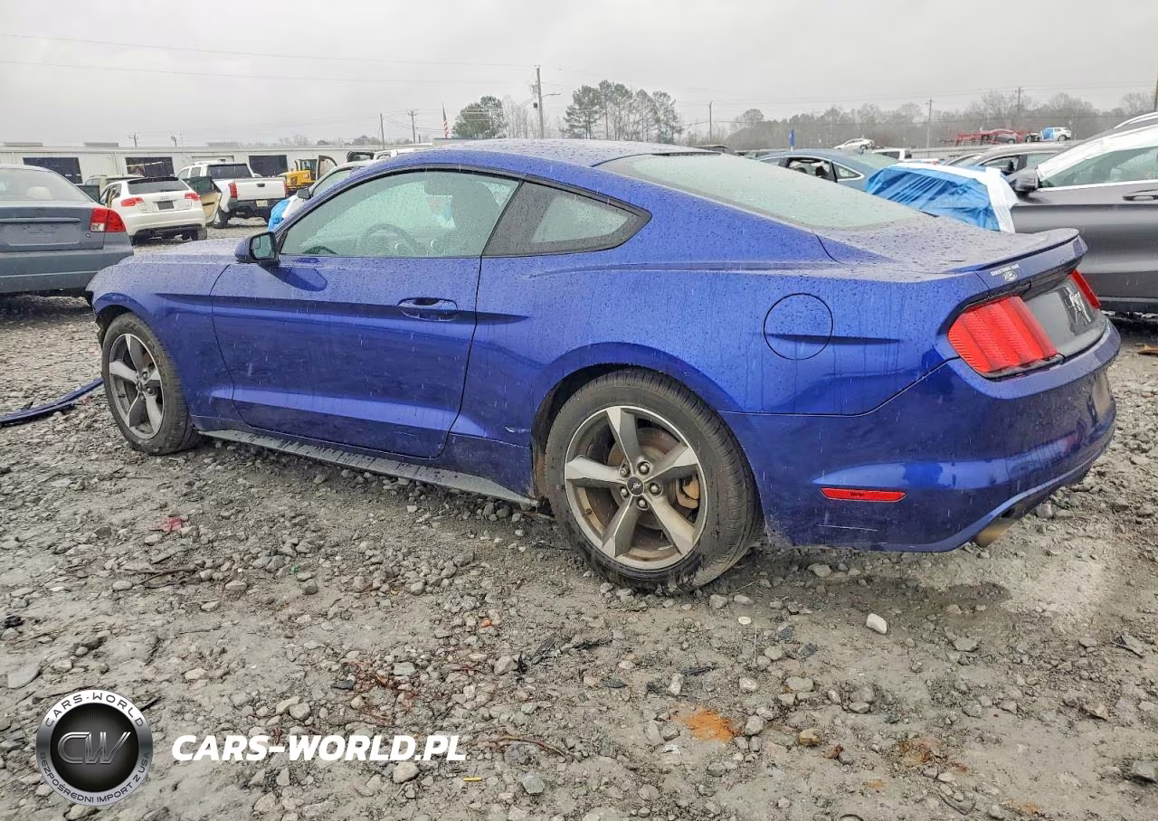 2016 Ford Mustang VIN:1FA6P8AM6G5325924 - 2