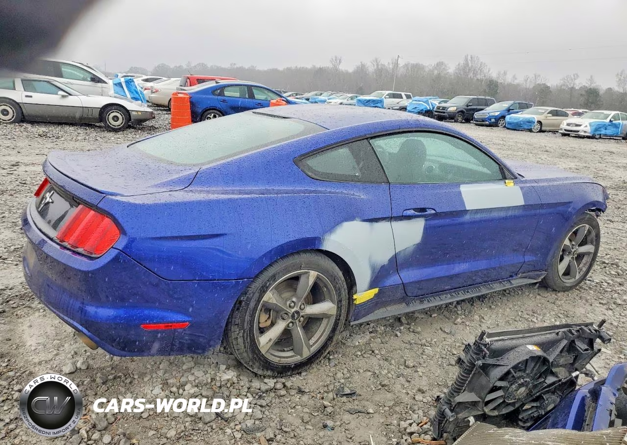 2016 Ford Mustang VIN:1FA6P8AM6G5325924 - 3