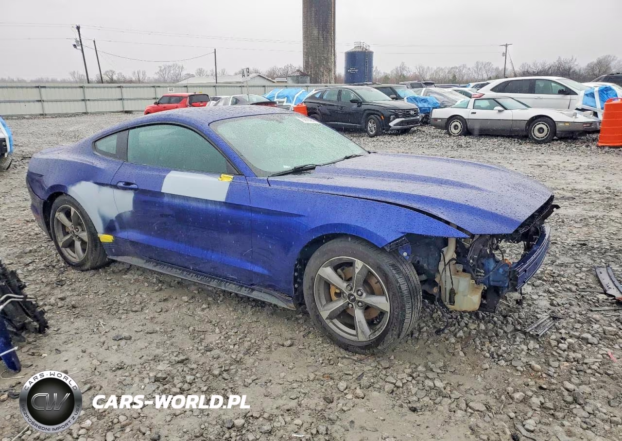 2016 Ford Mustang VIN:1FA6P8AM6G5325924 - 4