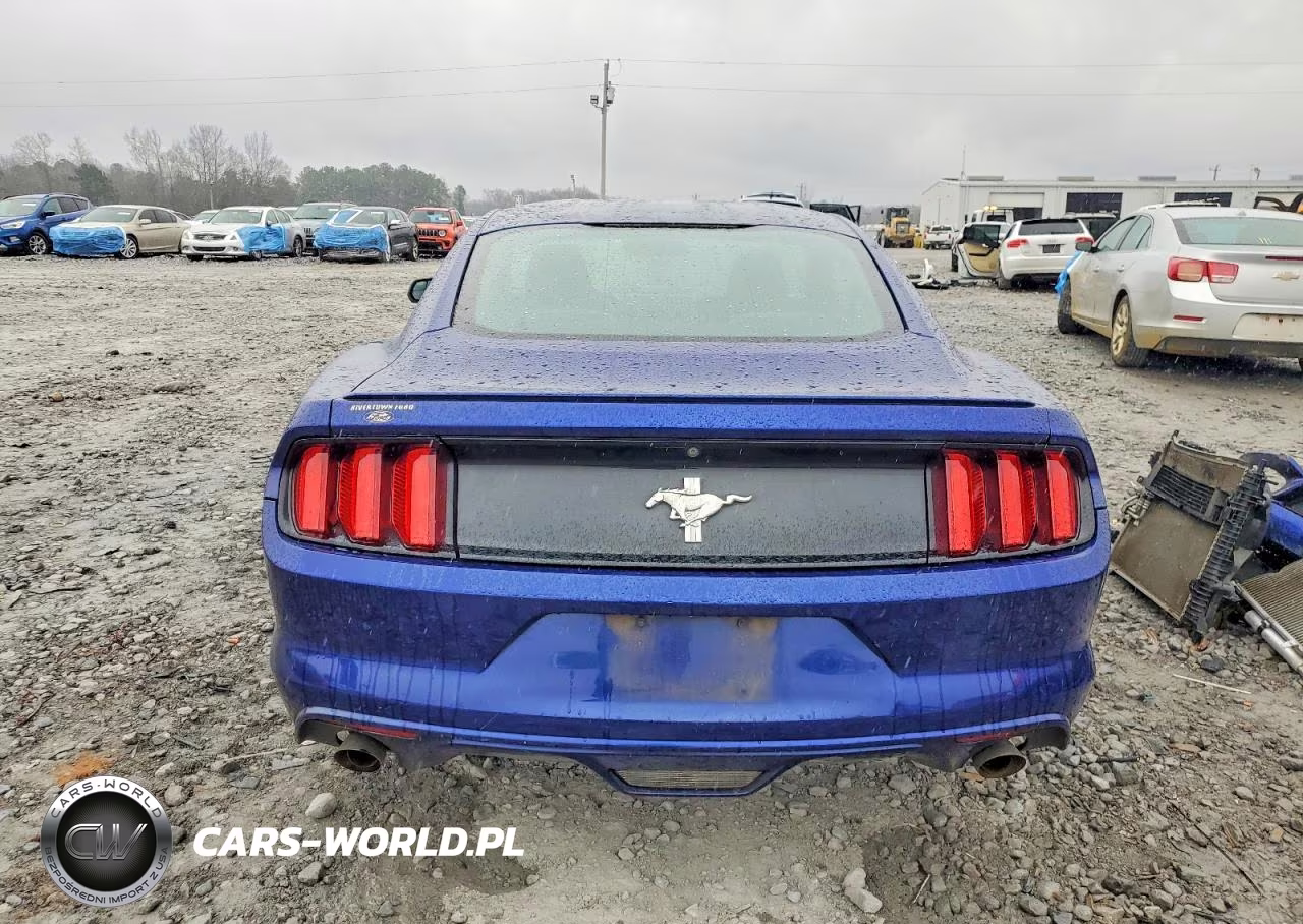 2016 Ford Mustang VIN:1FA6P8AM6G5325924 - 6