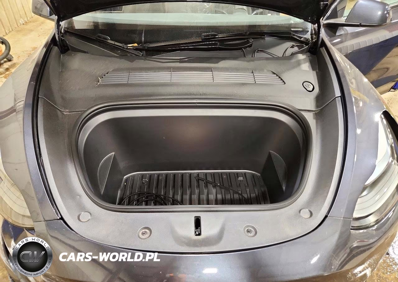 2024 Tesla Model Y VIN:7SAYGDEE1RA254017 - 11