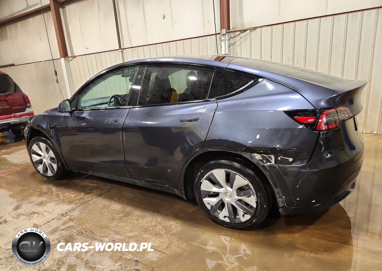 2024 Tesla Model Y VIN:7SAYGDEE1RA254017 - 2