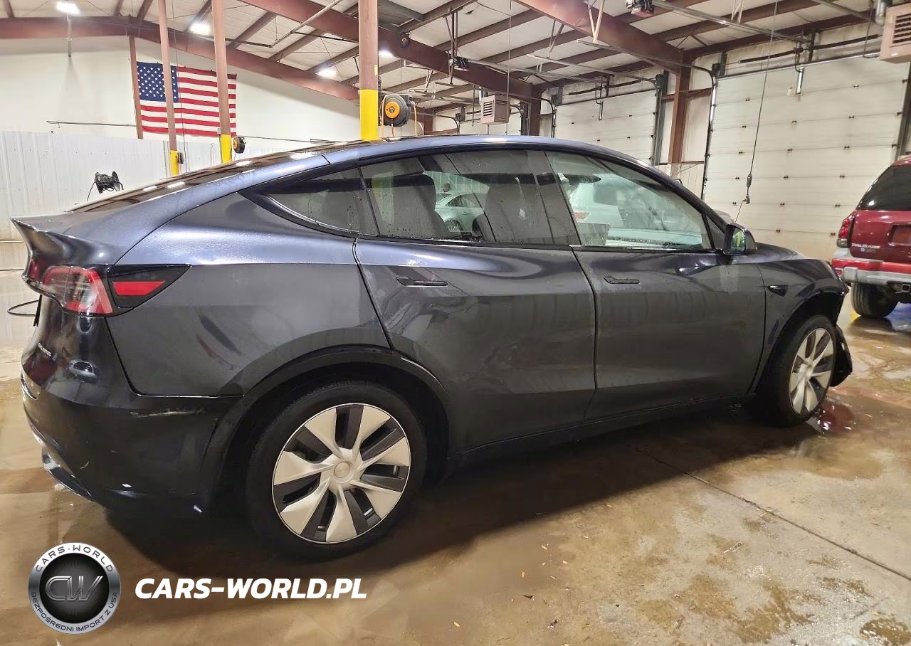 2024 Tesla Model Y VIN:7SAYGDEE1RA254017 - 3