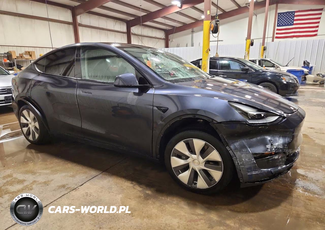 2024 Tesla Model Y VIN:7SAYGDEE1RA254017 - 4