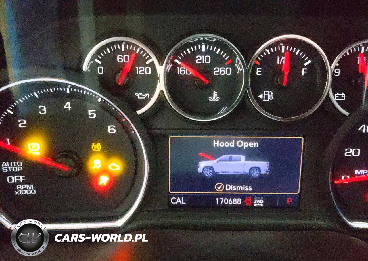 2019 Chevrolet Silverado K1500 Lt Trail Boss VIN:3GCPYFEDXKG109117 - 9