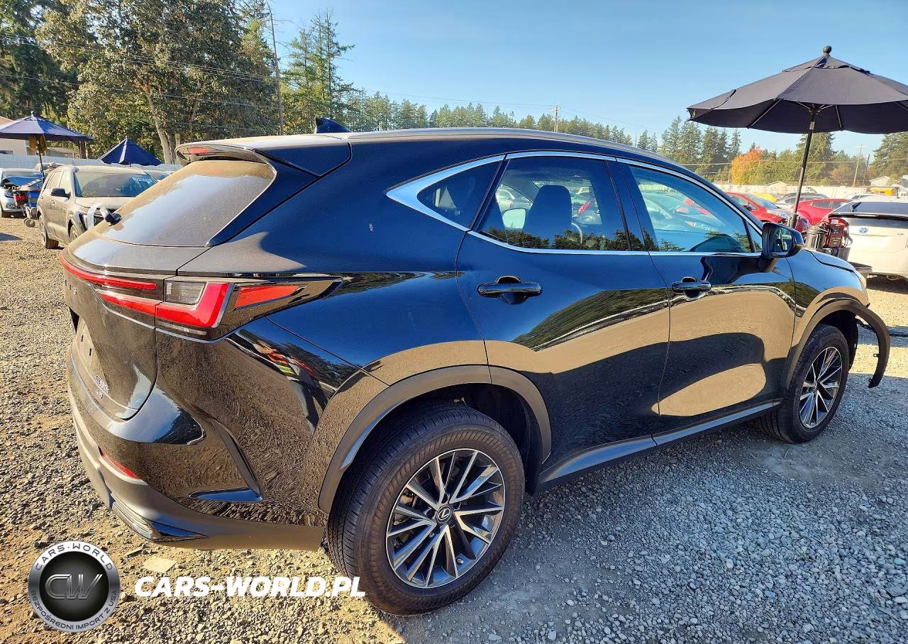 2023 Lexus Nx 350H VIN:2T2GKCEZ6PC015499 - 3