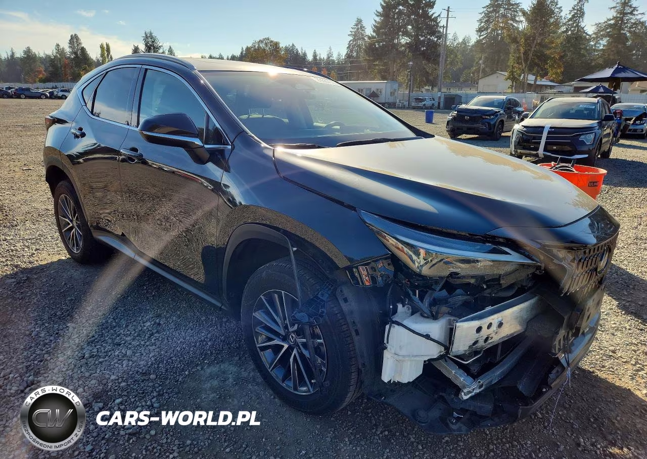 2023 Lexus Nx 350H VIN:2T2GKCEZ6PC015499 - 4