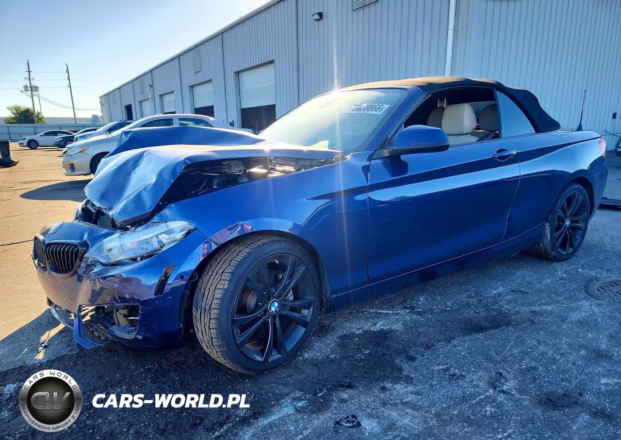 2018 BMW 230I