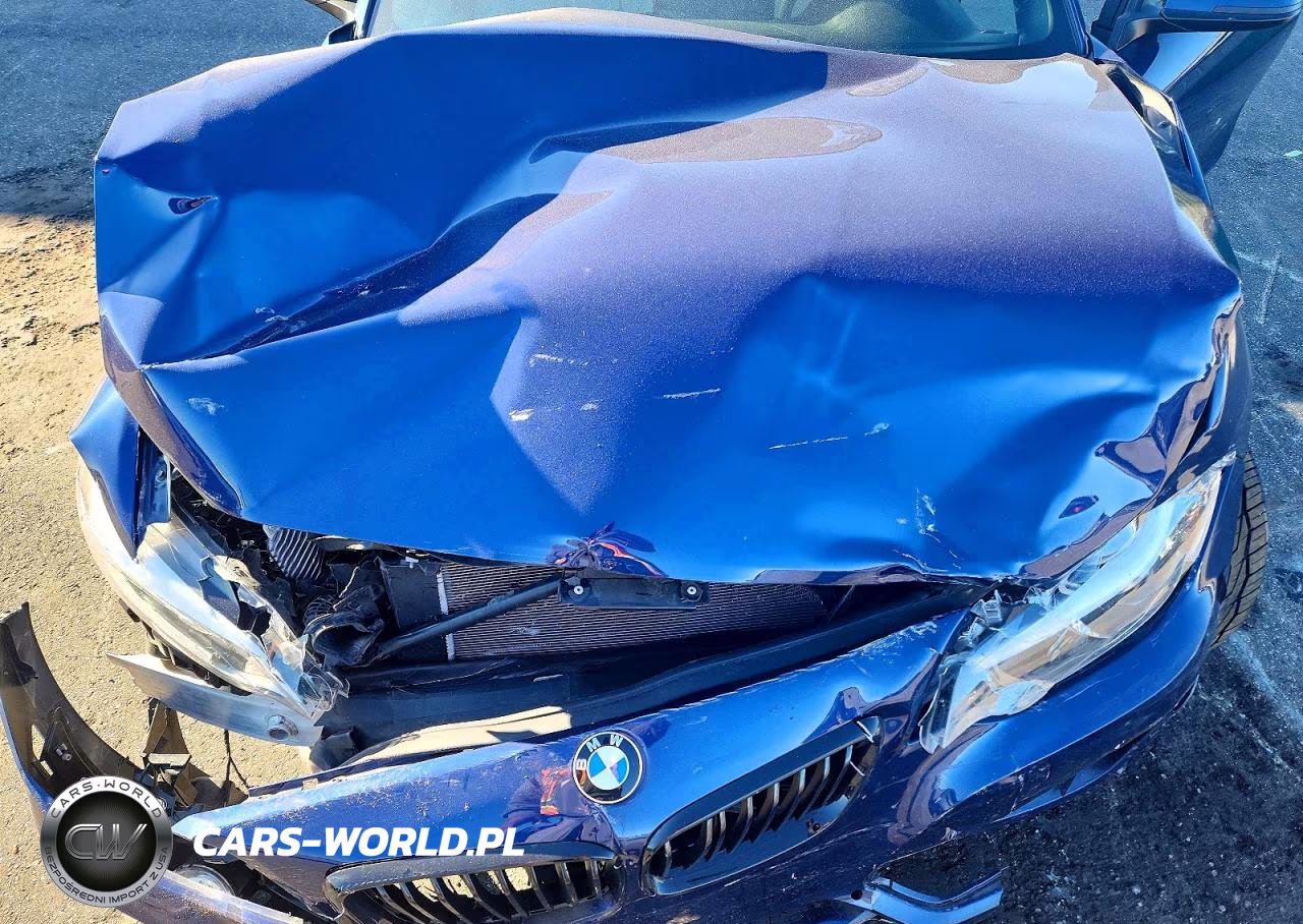 2018 BMW 230I VIN:WBA2M7C56JVA97626 - 11