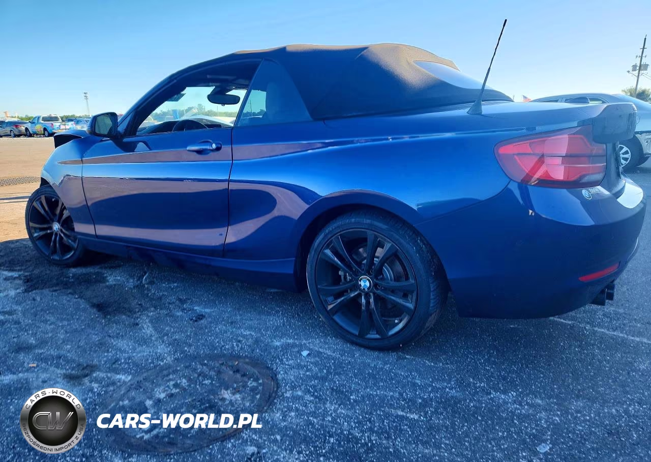 2018 BMW 230I VIN:WBA2M7C56JVA97626 - 2