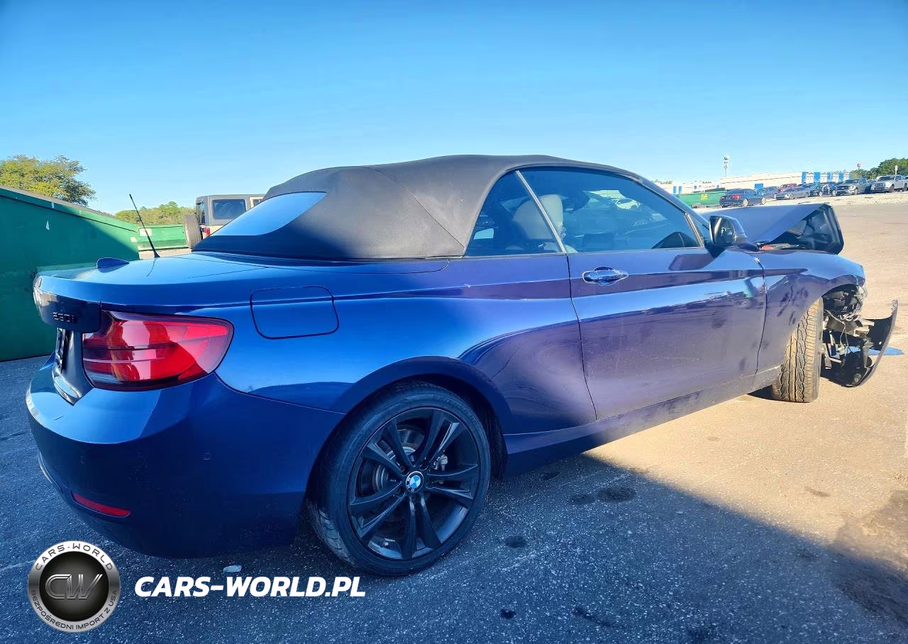2018 BMW 230I VIN:WBA2M7C56JVA97626 - 3