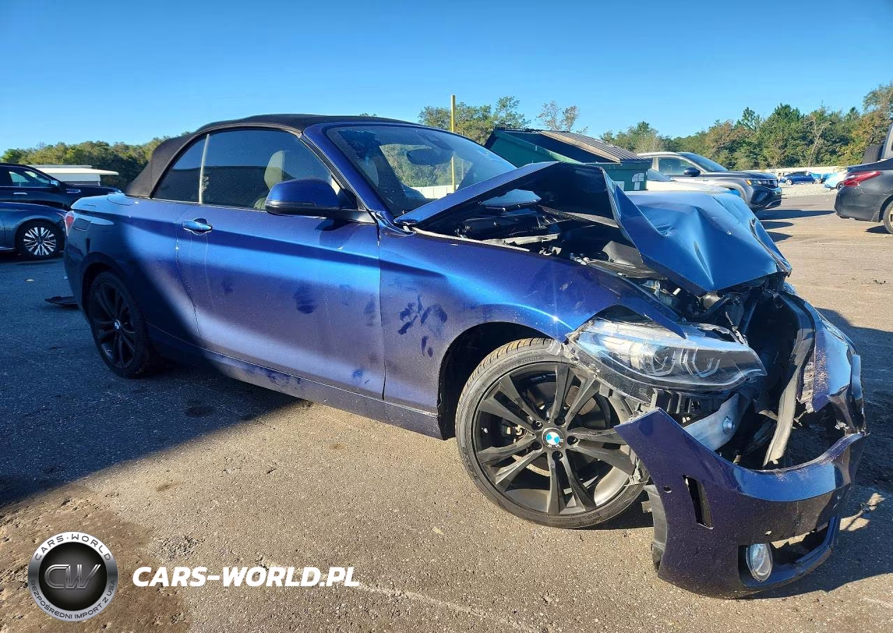 2018 BMW 230I VIN:WBA2M7C56JVA97626 - 4